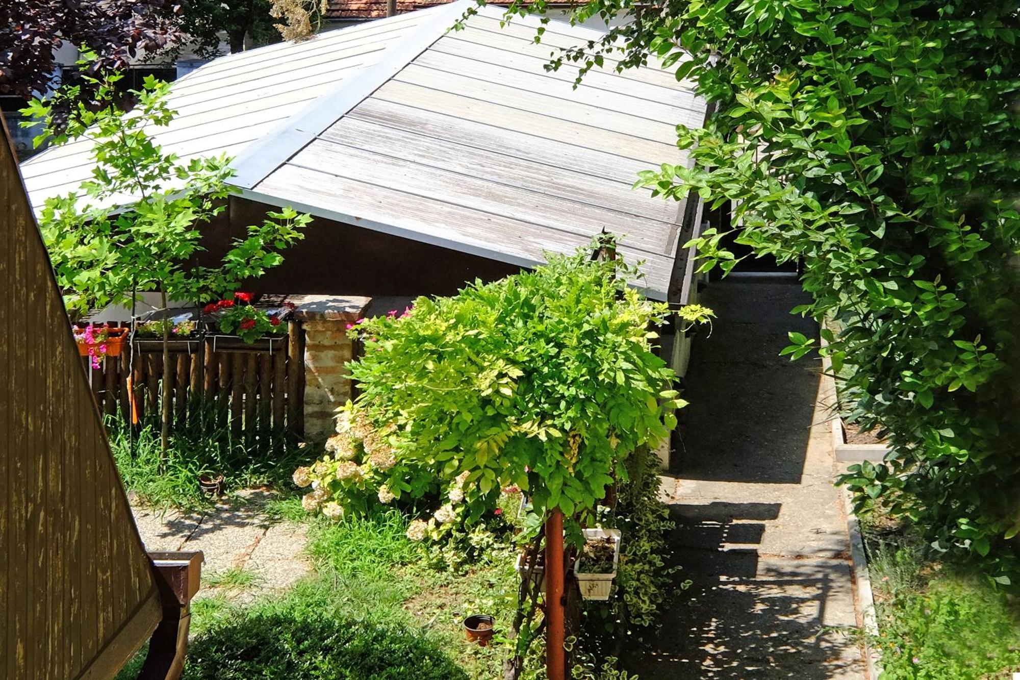 Red Tree Apartment 베오그라드 외부 사진